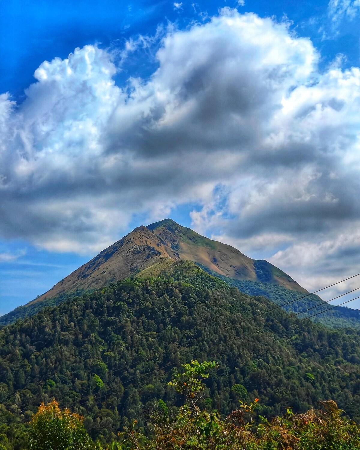 Kaira, Merthi Cownullha Estate