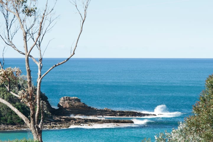 莫里莫科海滩(Mollymook Beach)的民宿