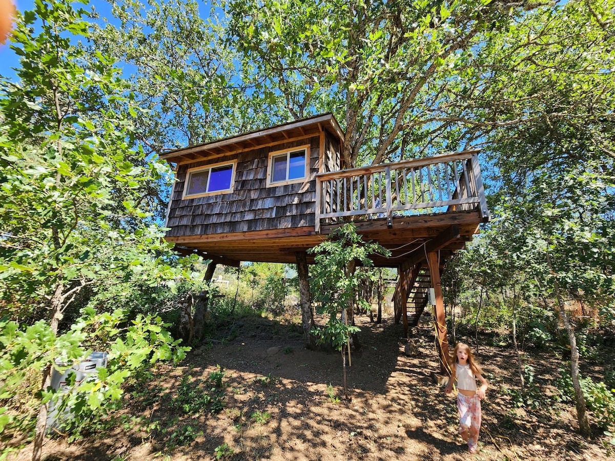 Treehouse, Organic Farm, River