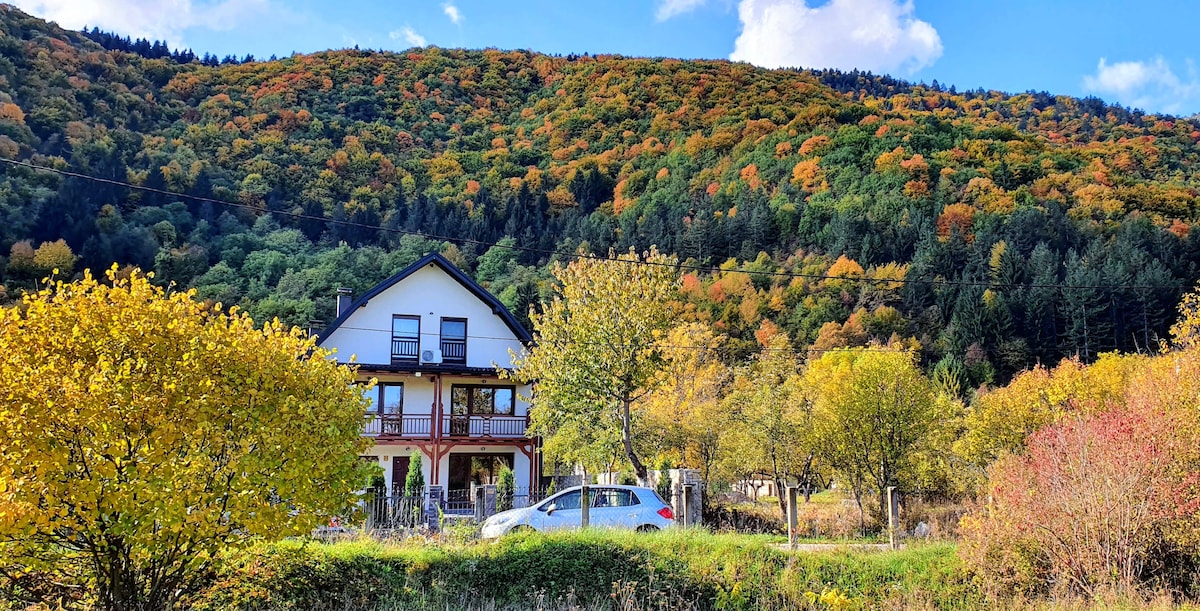 国家公园「Vrelo Bosne」内的豪华别墅