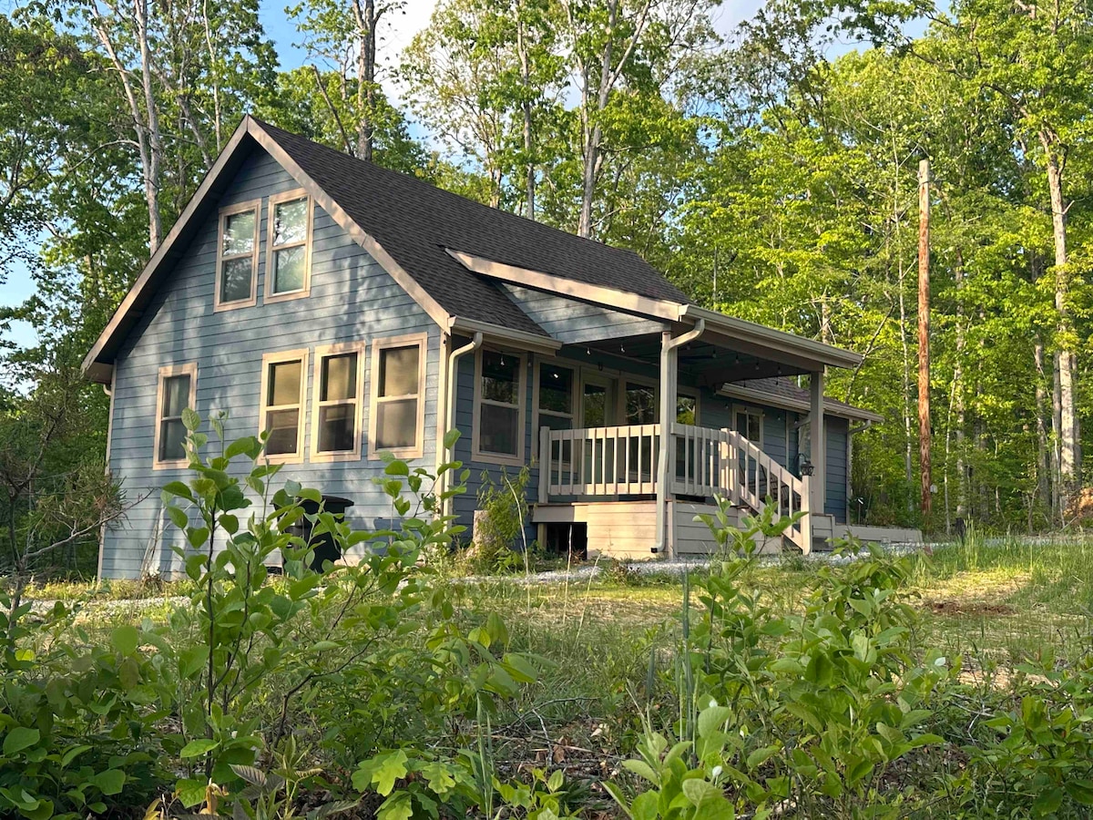 Peaceful-Cabin on 44 Wooded acres, Creek