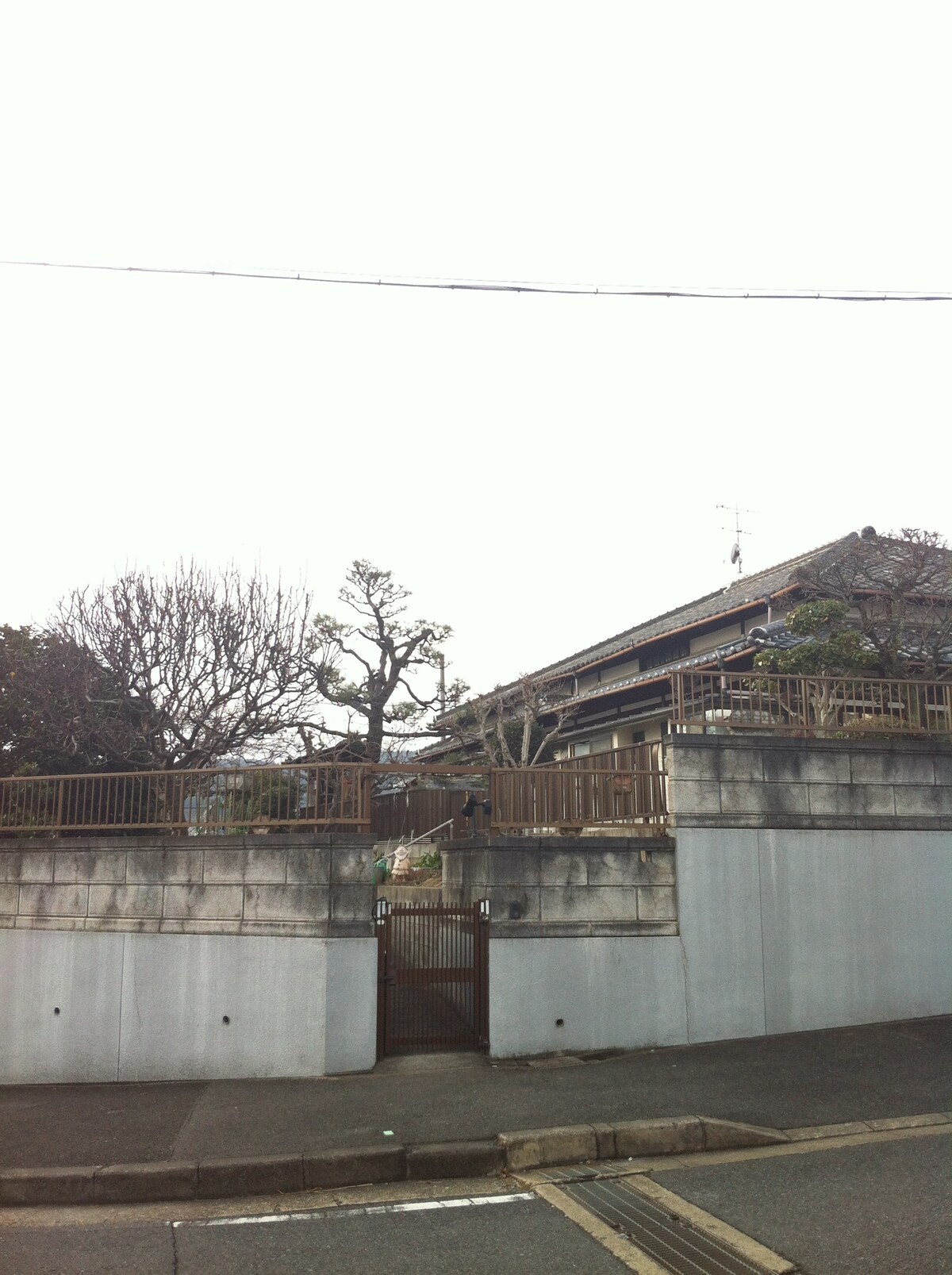 日式老房子和一种秋田狗