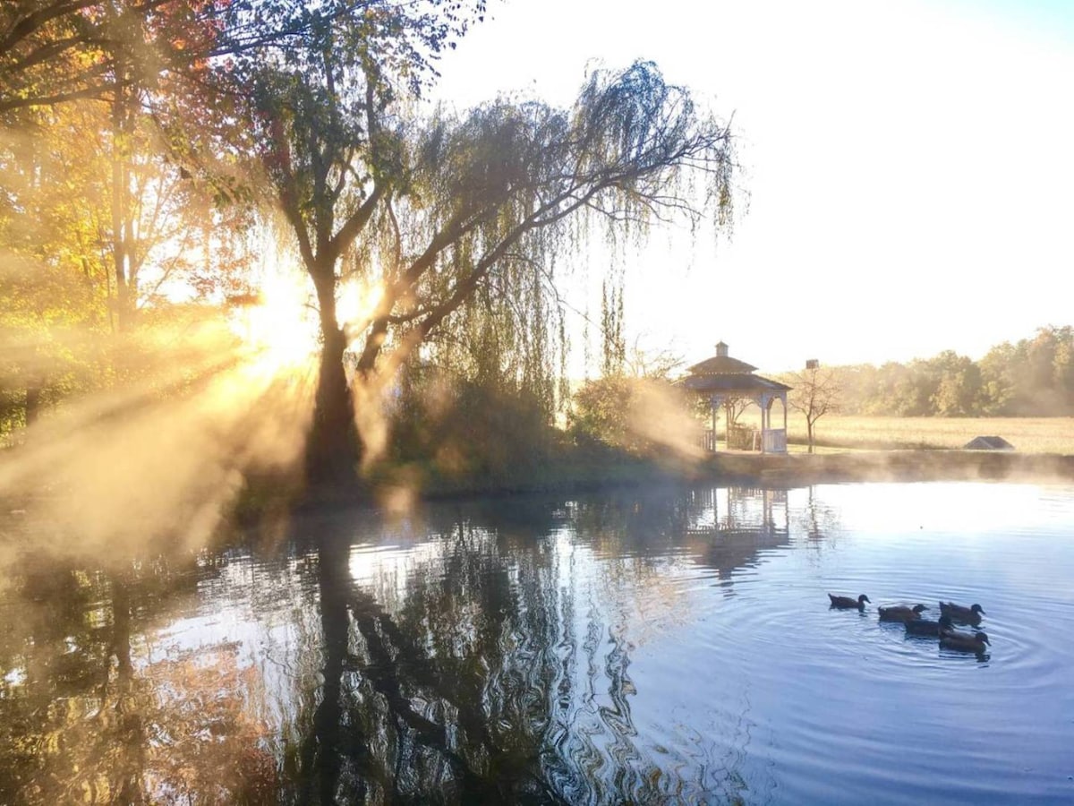 花园乡村小屋