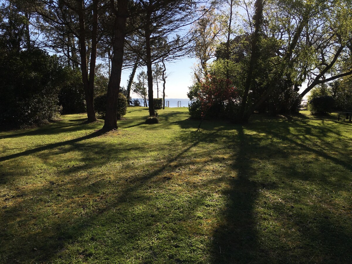 Bassin d 'Arcachon ：非常罕见，一线西部