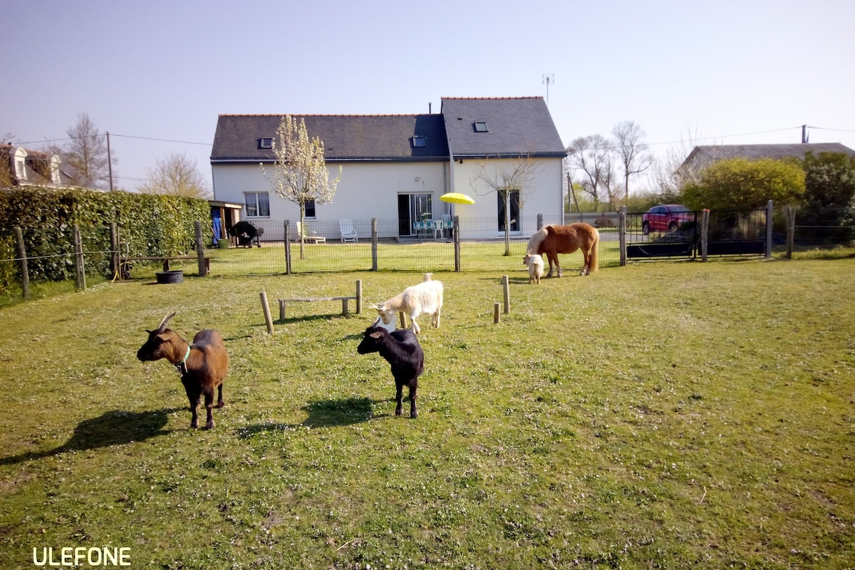 Gite Valle de the Loire ，靠近Saumur and Angers