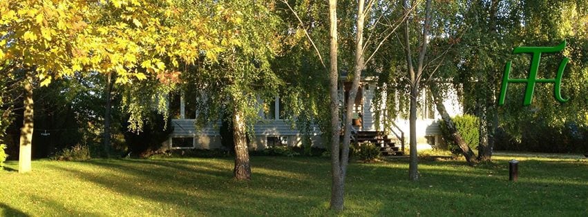 休伦湖（ Huron Lake ）半英亩树木上的宽敞小屋。