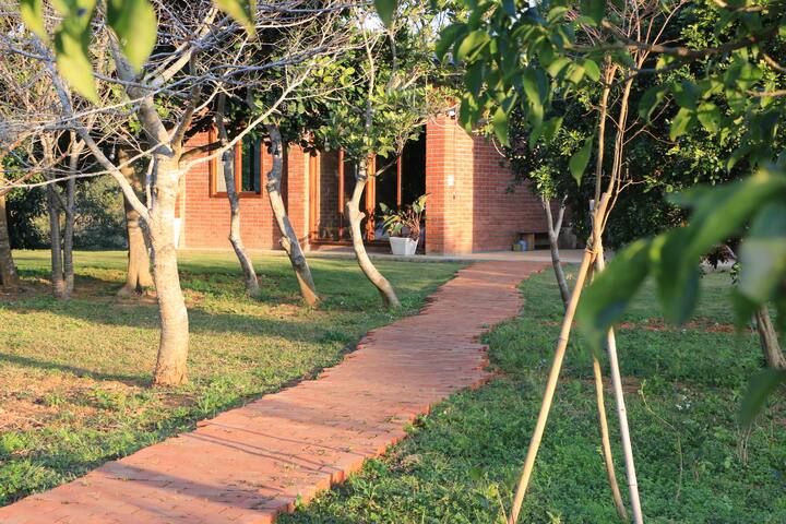 砖屋门前的红砖小径