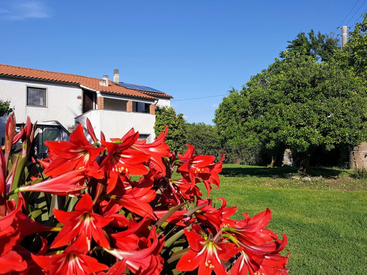 Tuscany country house (28 beds) with private pool