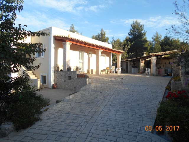 Egina的民宿
