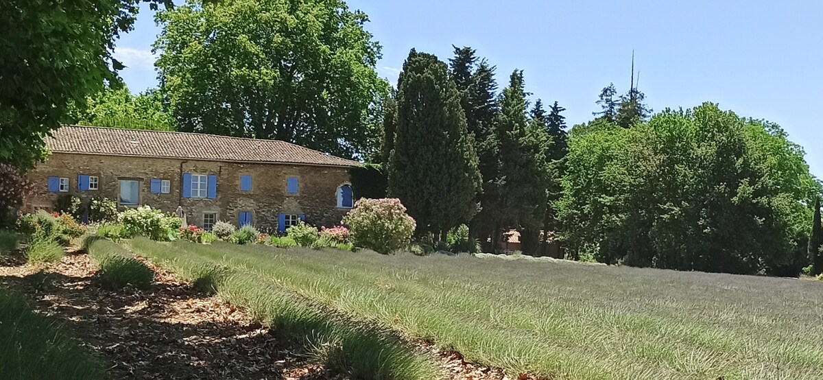 Cottage "à l'ombre du pin" en Provence