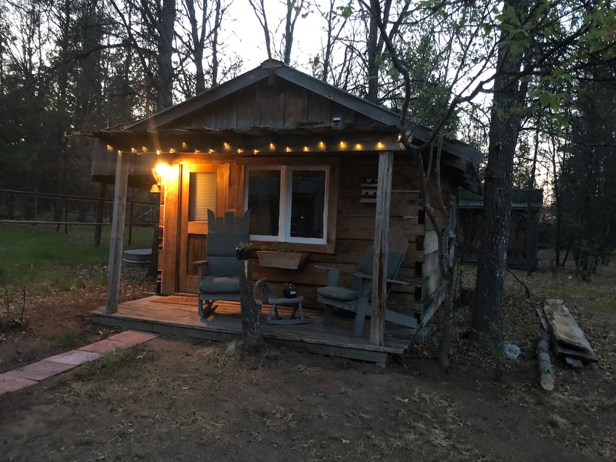 Anita 's Cabin 3
