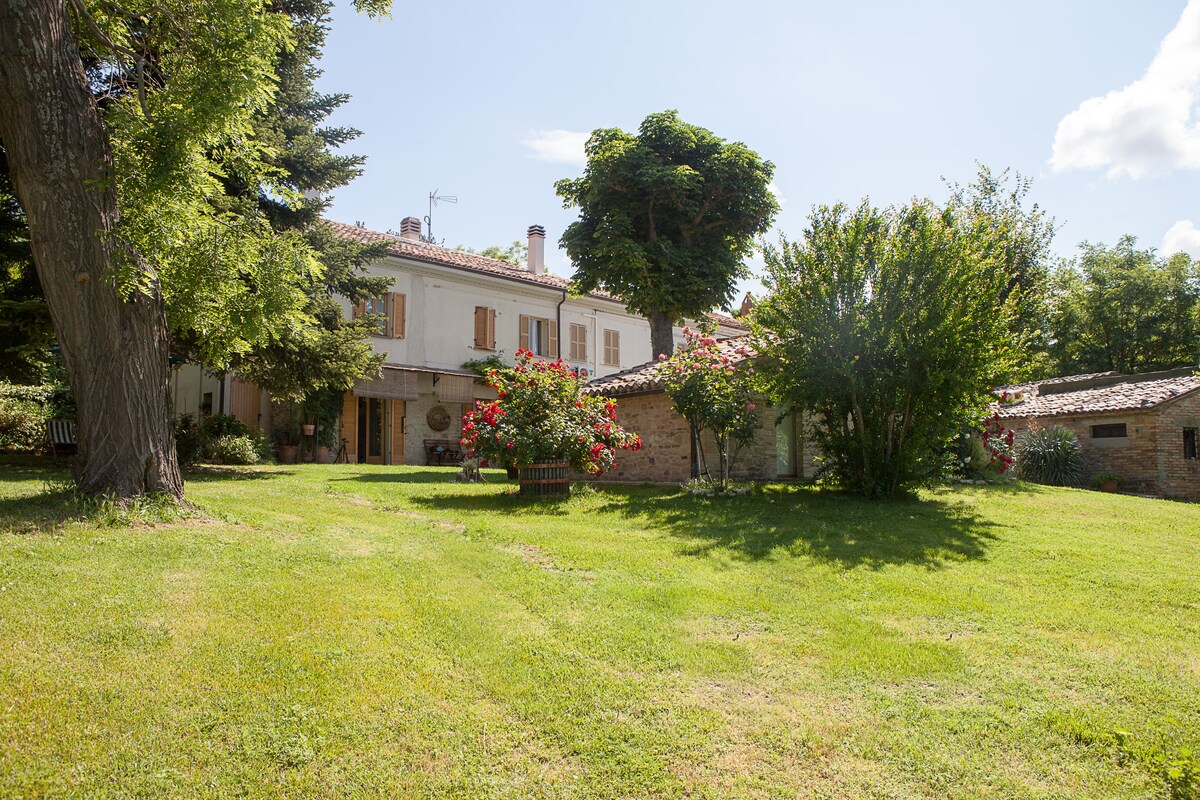 A casa da Marcella, Camera Rossa