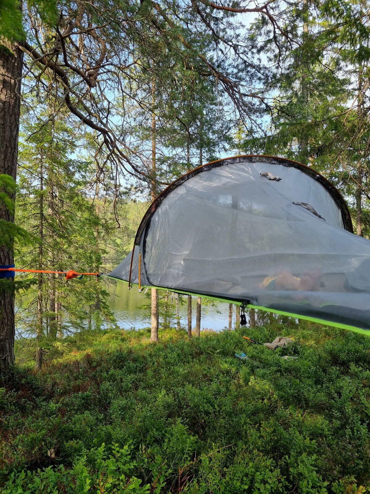 Experience the nature of Oslo in a tree tent