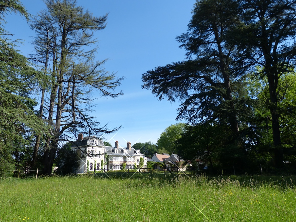 Manoir des Bordes套房的住宿加早餐