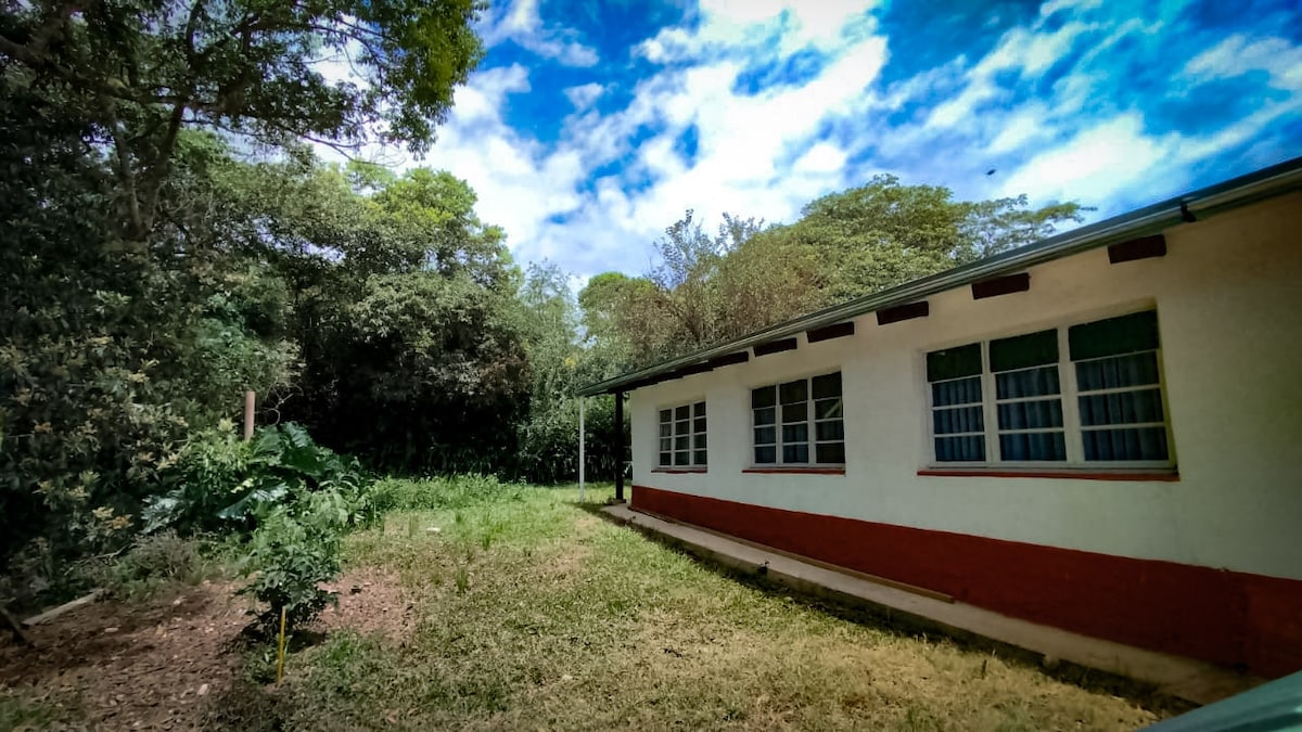 San Silvestre Mini casa