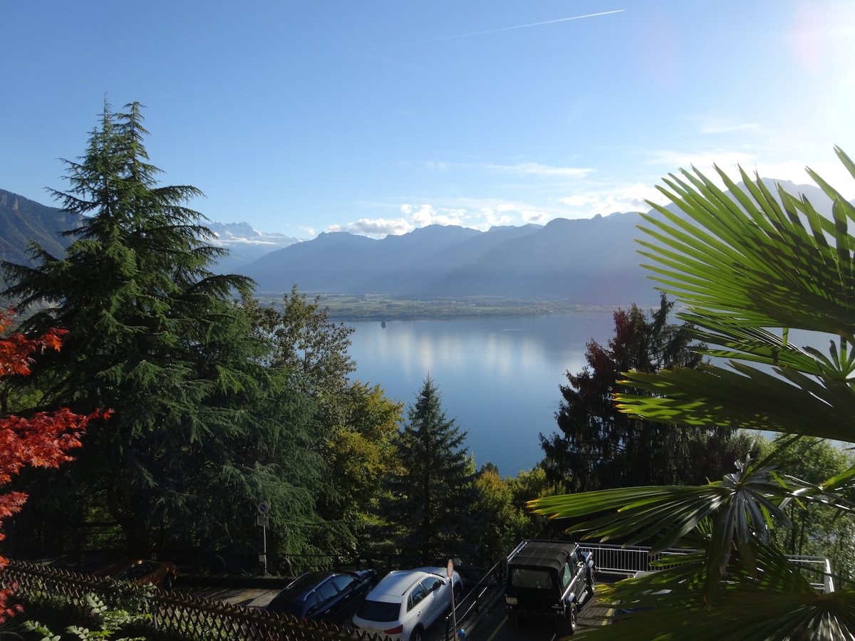 湖景小屋（ Lake View Lodge ） -壮丽的湖景