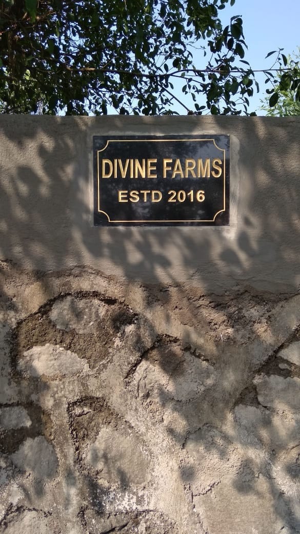 Imagica附近的Divine Farms