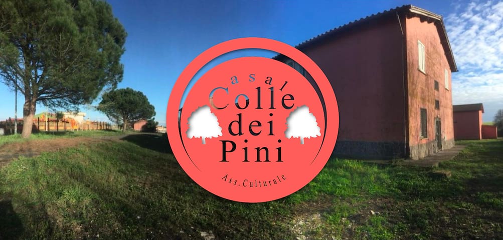 Anguillarese-colle Due Pini的民宿