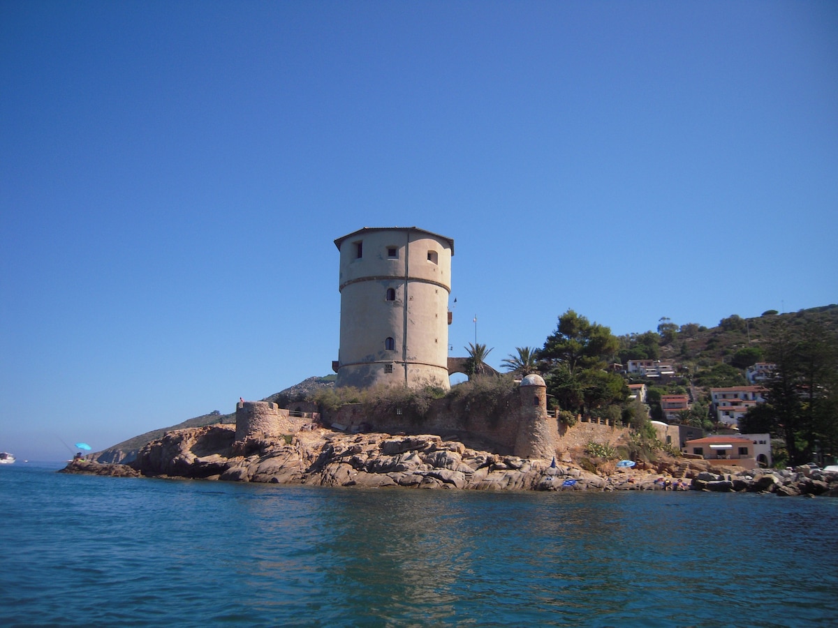 an ancient tower on the sea
