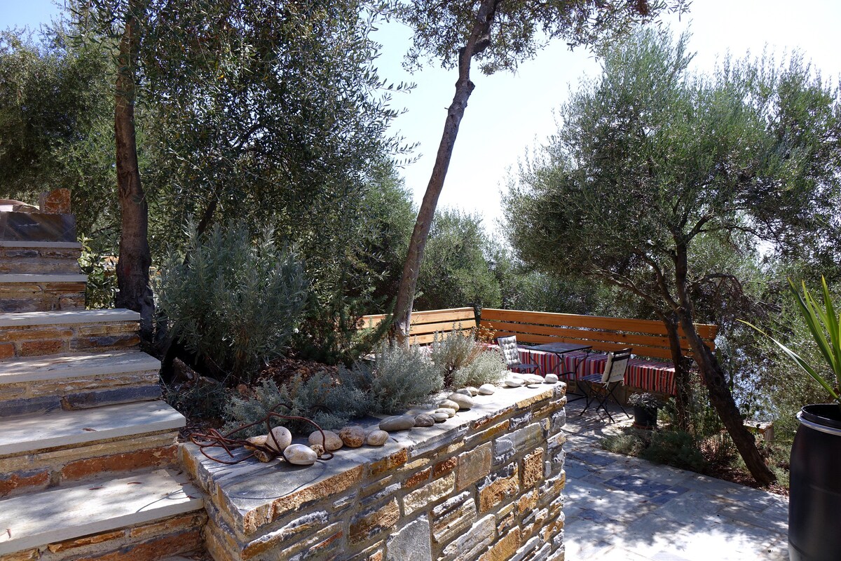 WILD OLIVE TREES house, Afeilianes Stone Houses