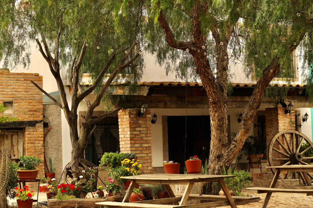 Casa Juanita/Rancho Entre Olivos Feria San Marcos