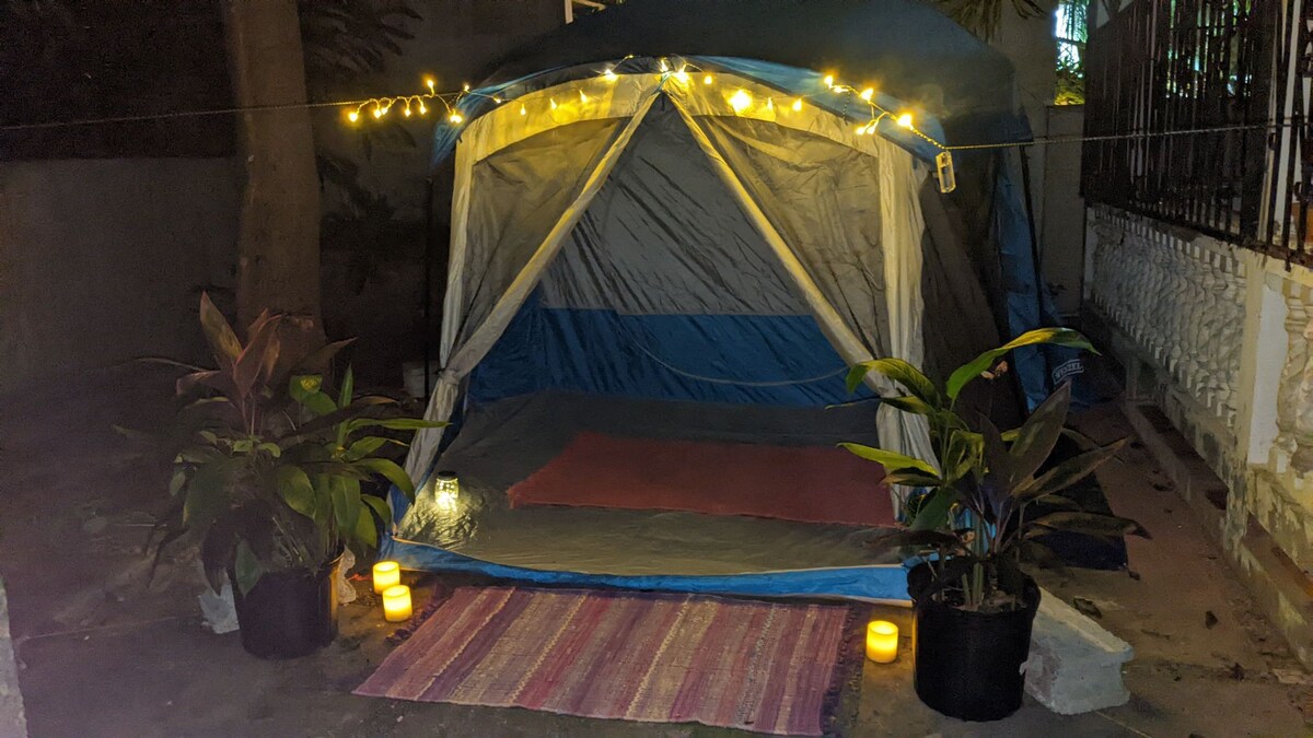 Rincón Glamping Hideaway and Cat Sanctuary