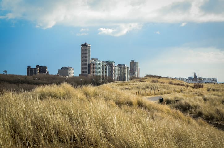 弗利辛恩(Vlissingen)的民宿