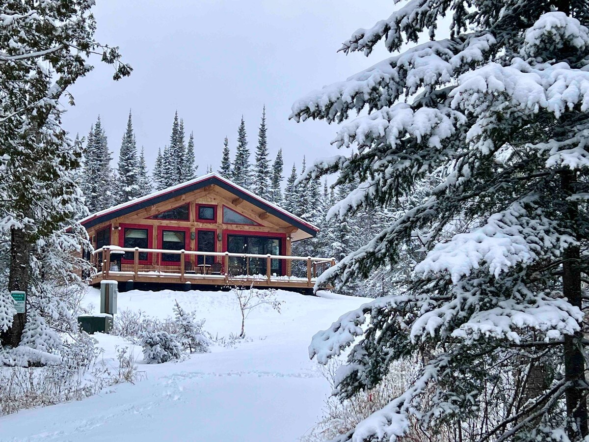 Dragonfly - Unique new log home