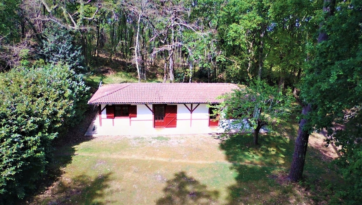 Maison  landaise typique entre lac et océan