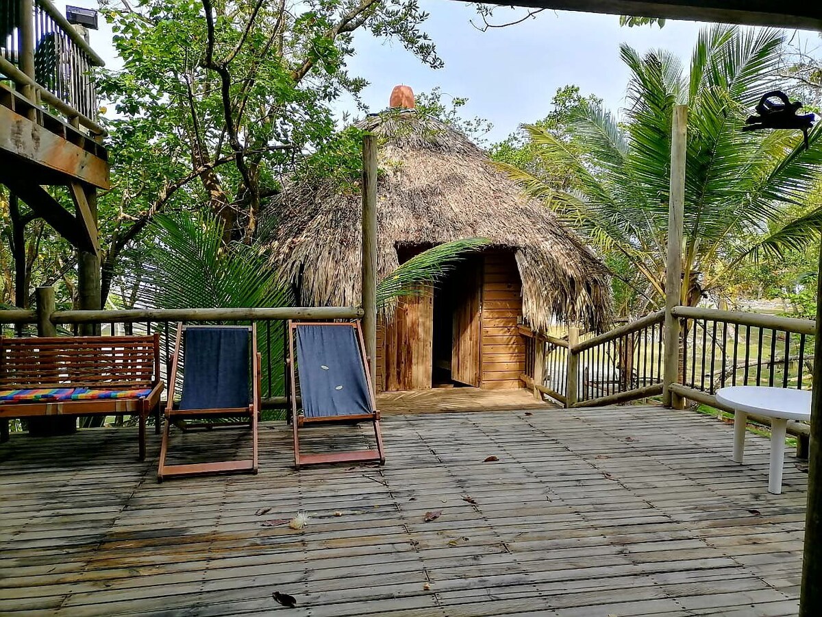 ¡Cabaña en la zona de los osos perezosos!