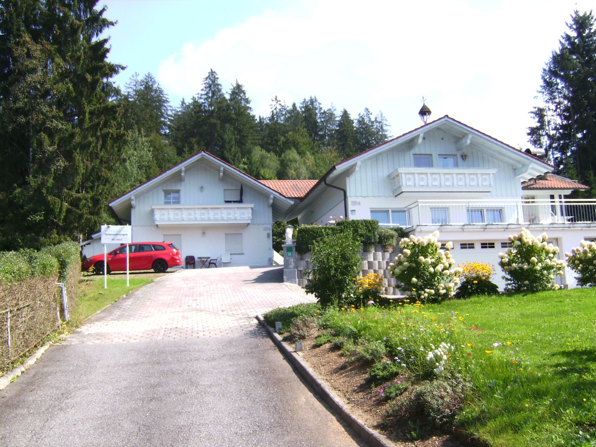 Ferienhaus Arberblick Ludwigsthal 4
