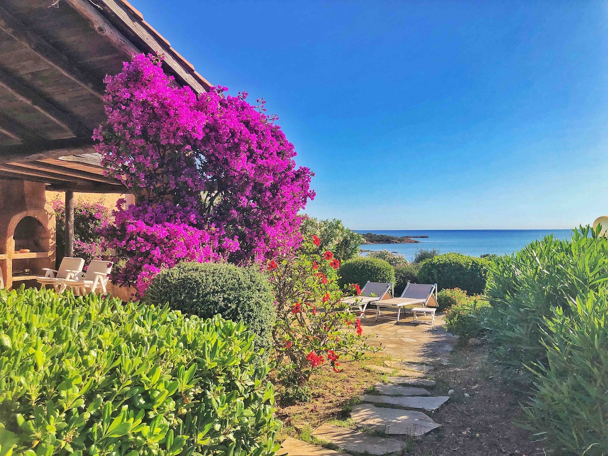 Villa Corallina 50 MT dal Mare