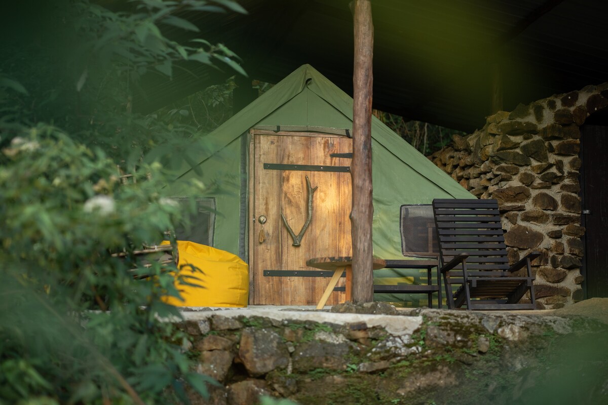 康提升营（ Venture Camps, Eco Lodge in Kandy ）
