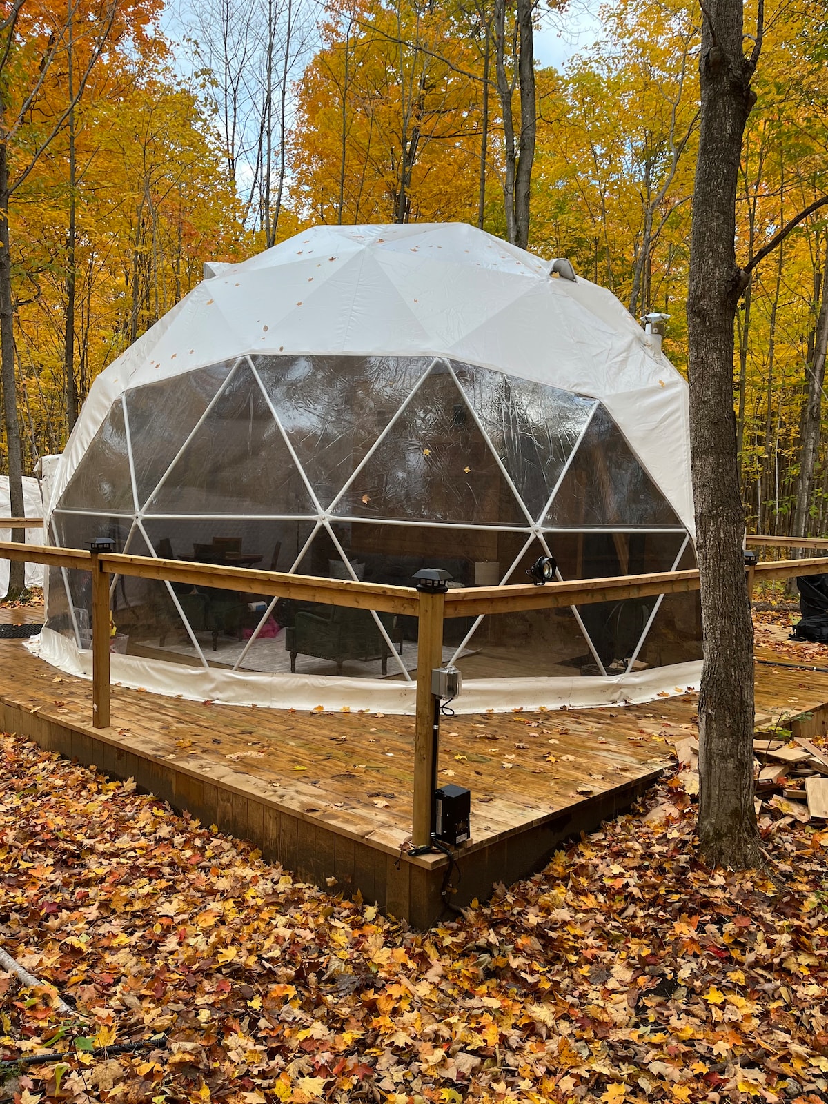 Forest Glamping Dome with Private Trails