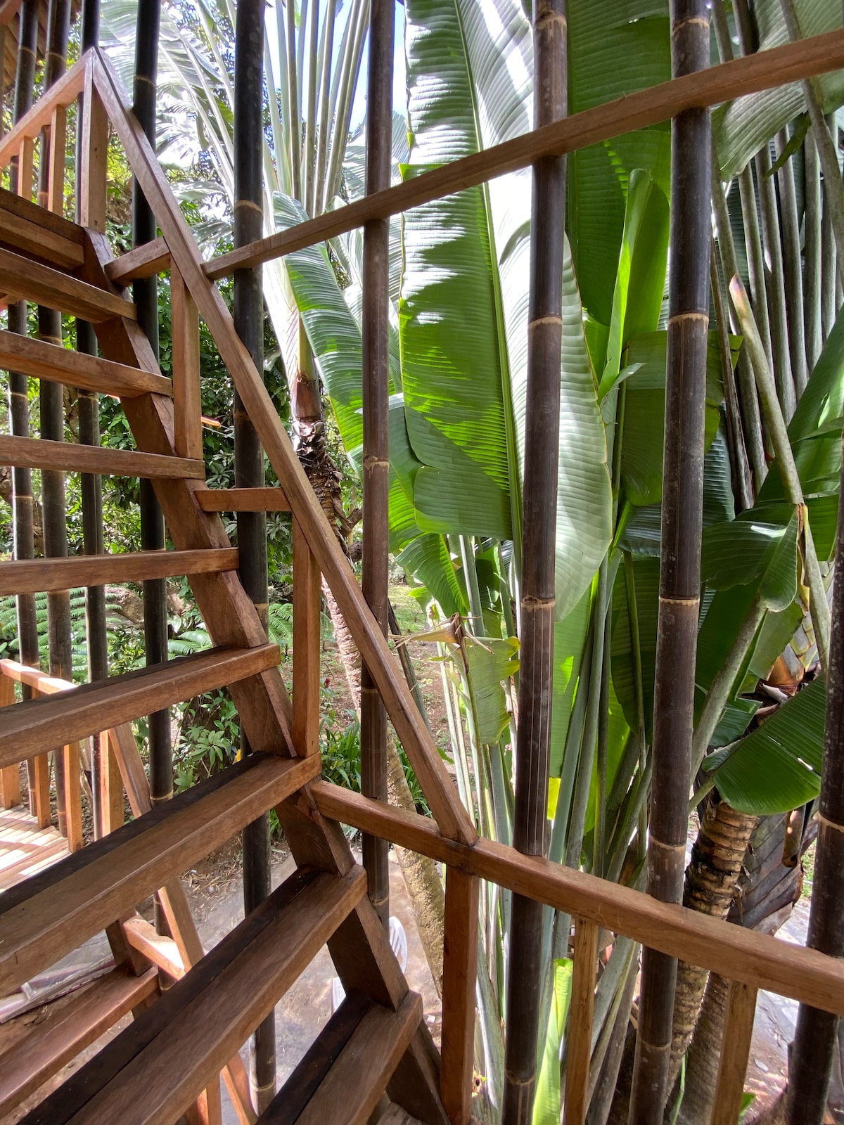 Rustic Tiny Kubo in Tanay, Rizal.