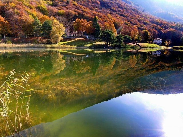 The Lake House