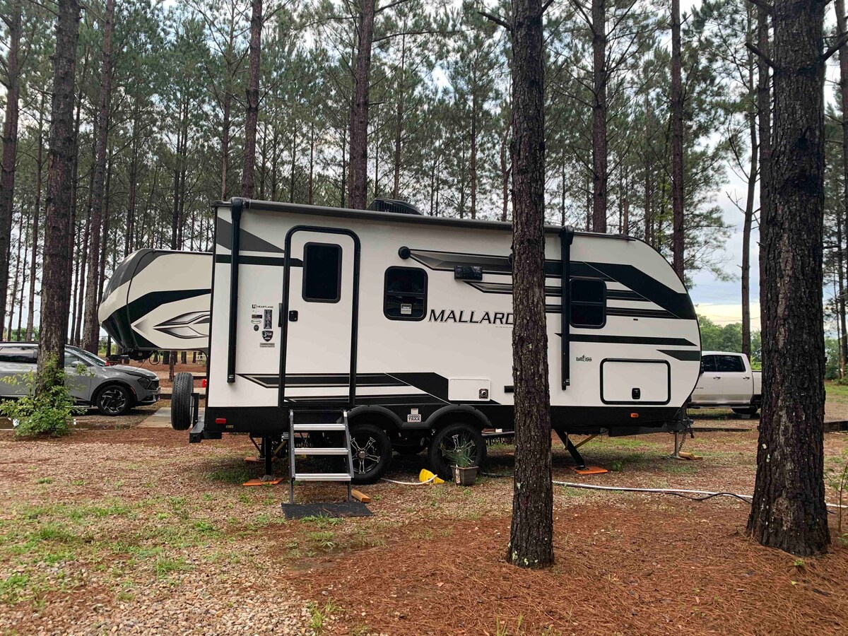 Freedom In the Pines - Comfy Camper