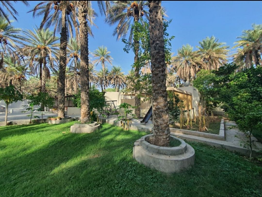 "Charming farm amid palm trees: a serene retreat."