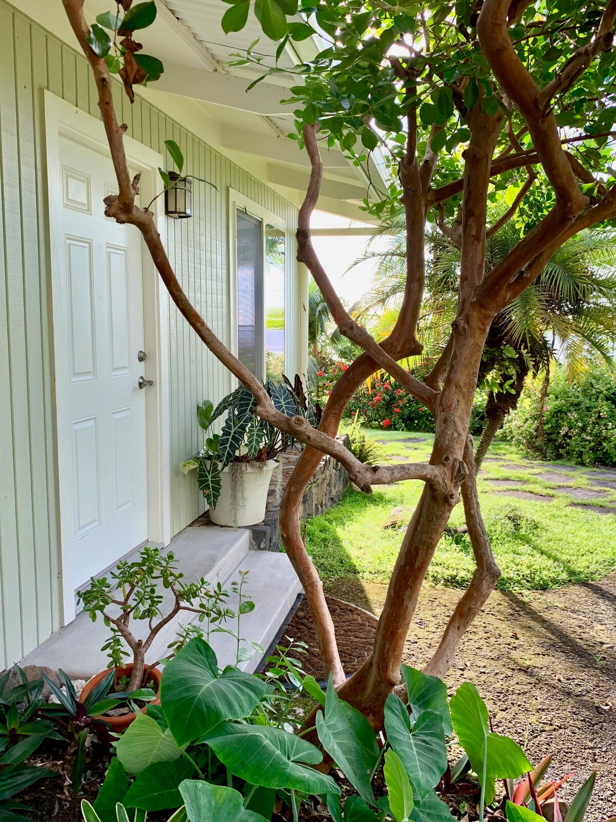 凯阿拉凯夸湾Plumeria Cottage