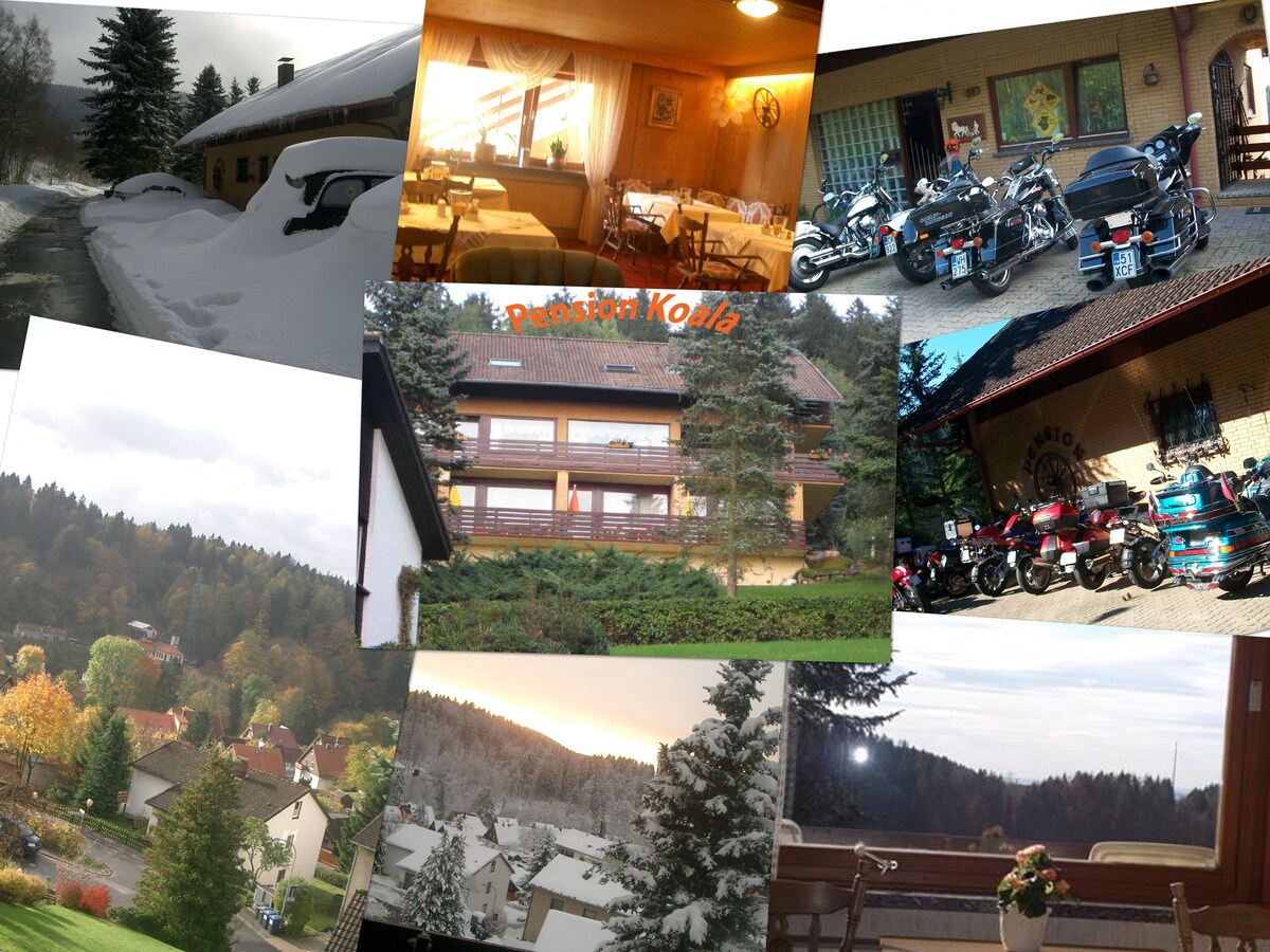 哈兹国家公园（ Harz National Park ）的Koala B&B。