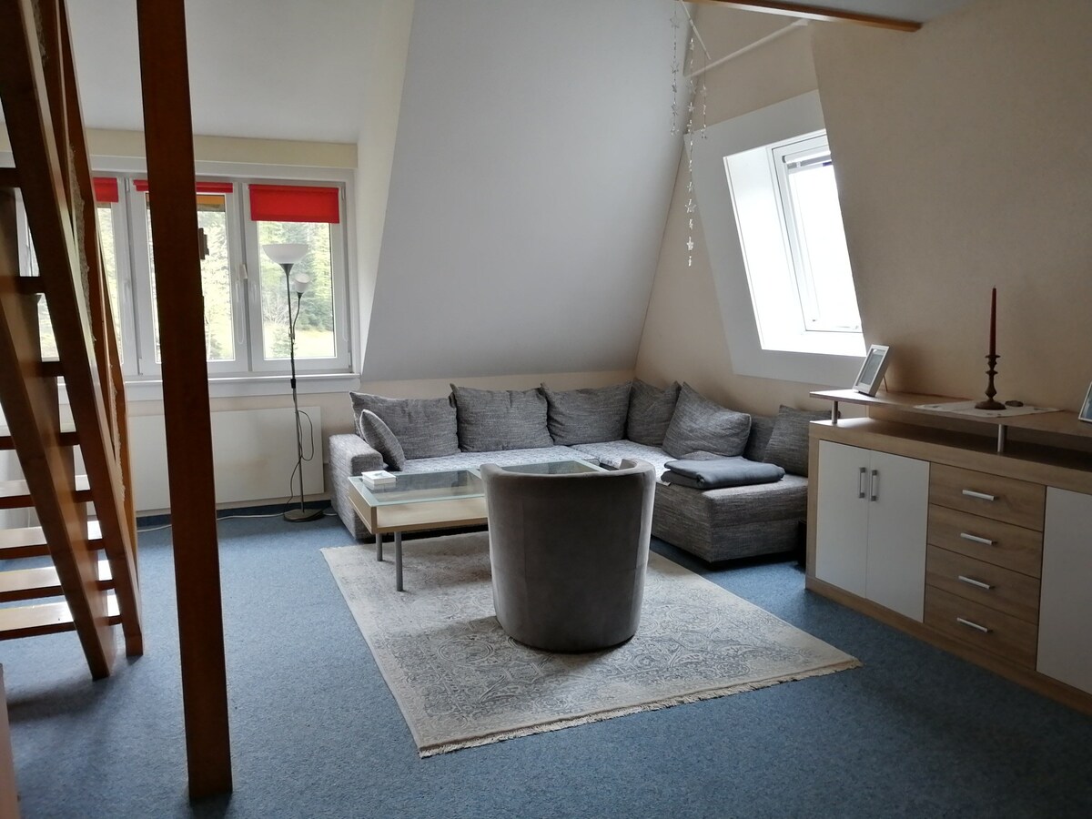 舒适的画廊公寓Hochschwarzwald面积为140平方米