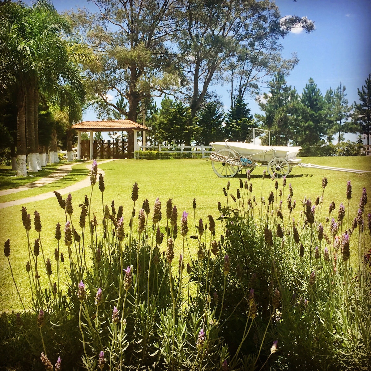 Linda ChácaraVovoAri c piscina e ótima localização