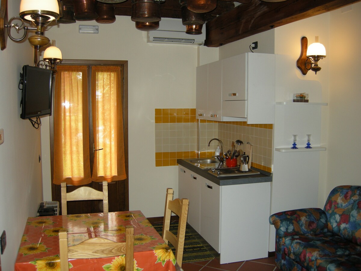 RELAIS CA' SERENA - Apartment ground floor