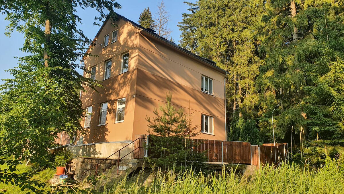 Lipno nad Vltavou- Loučovice ， Apartman