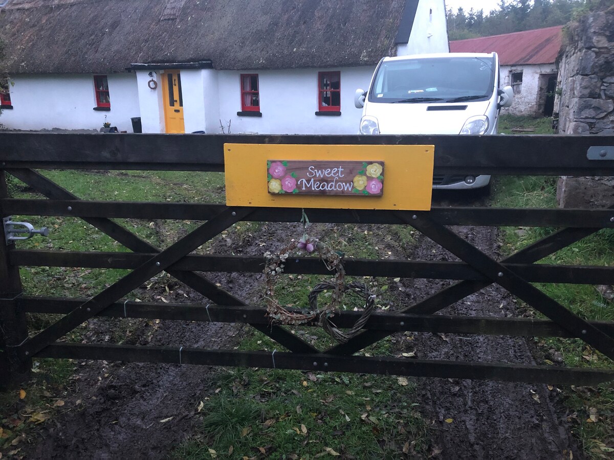 Delightful, romantic thatch cottage by river shann