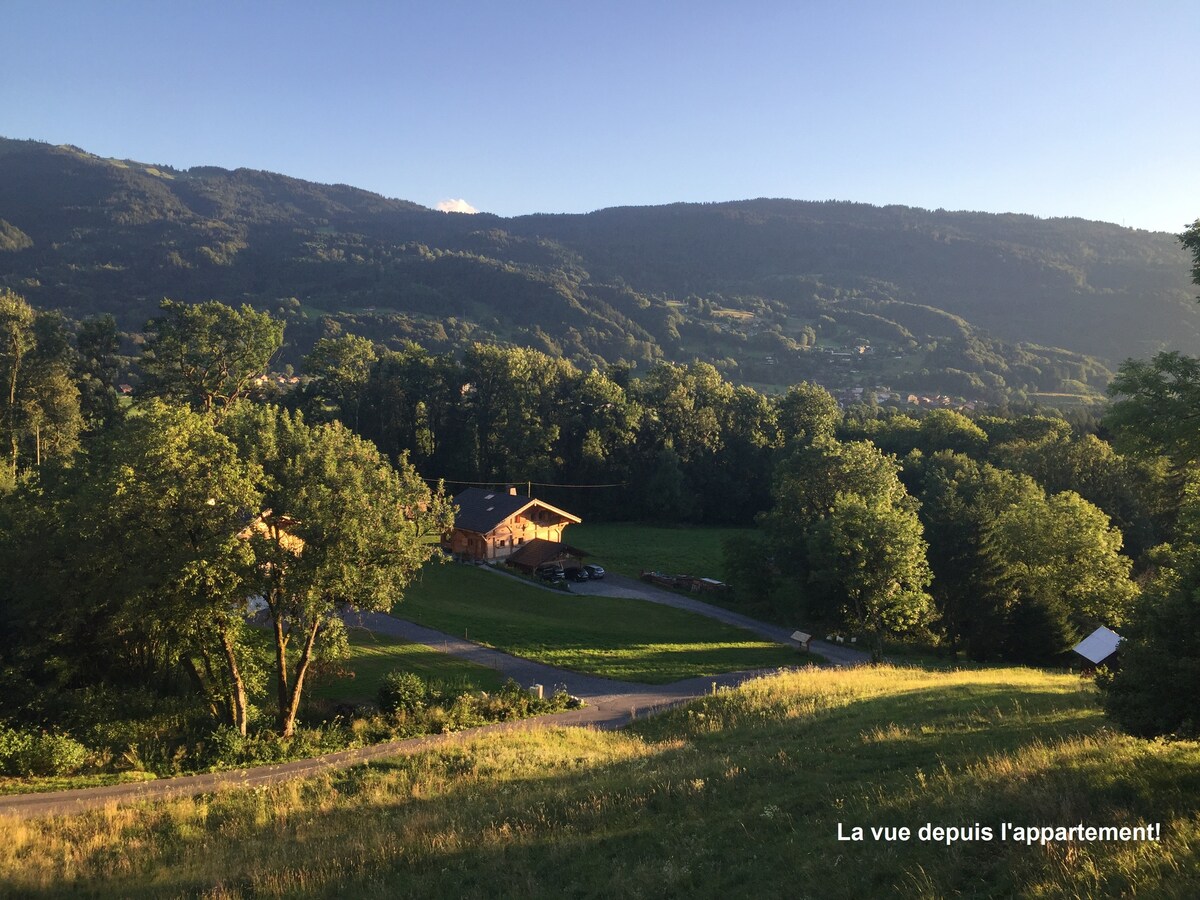 公寓可欣赏山景- 4P- SAMOENS