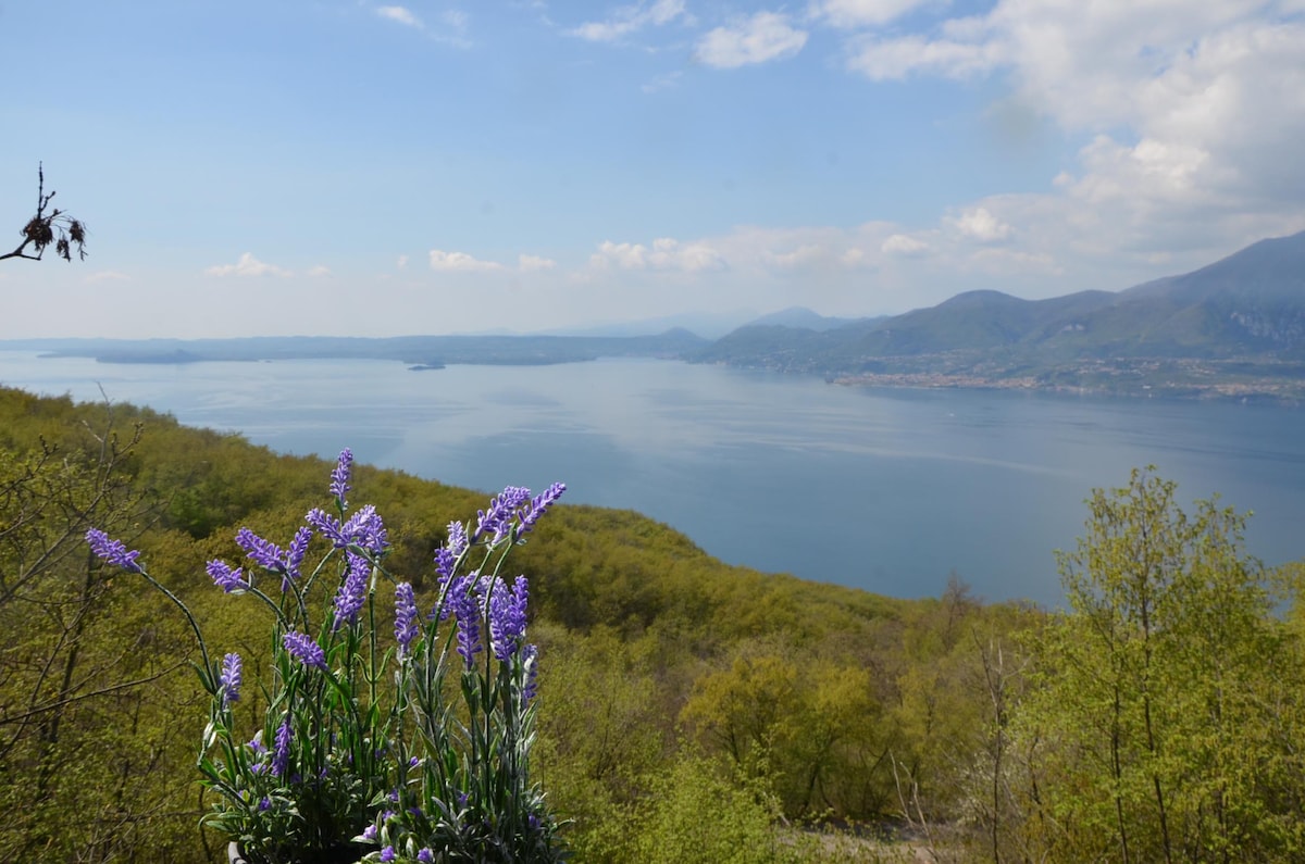 加尔达湖（ Lake Garda ）和M.te Baldo之间的绿洲