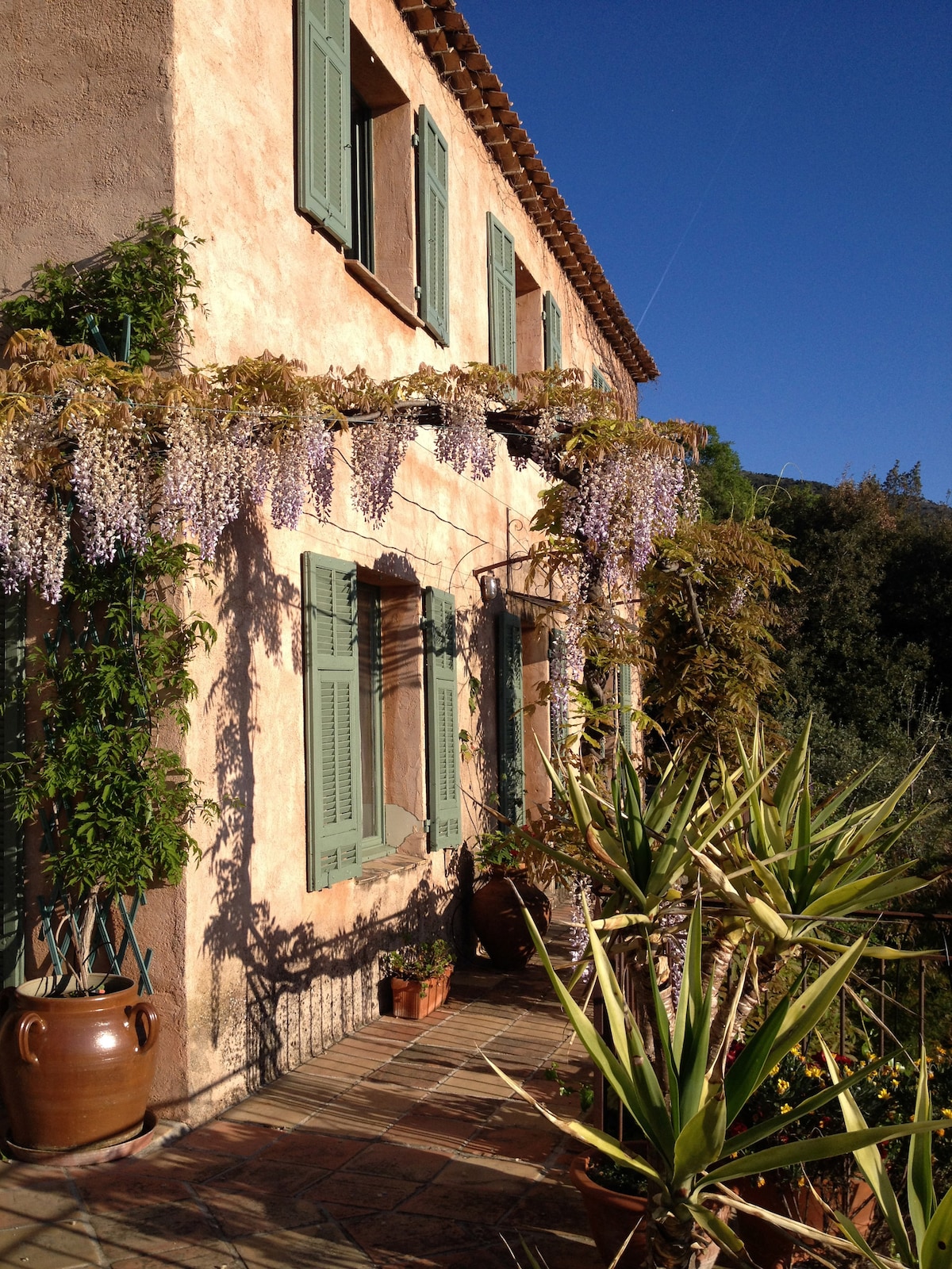 Villa provençale dans la verdure