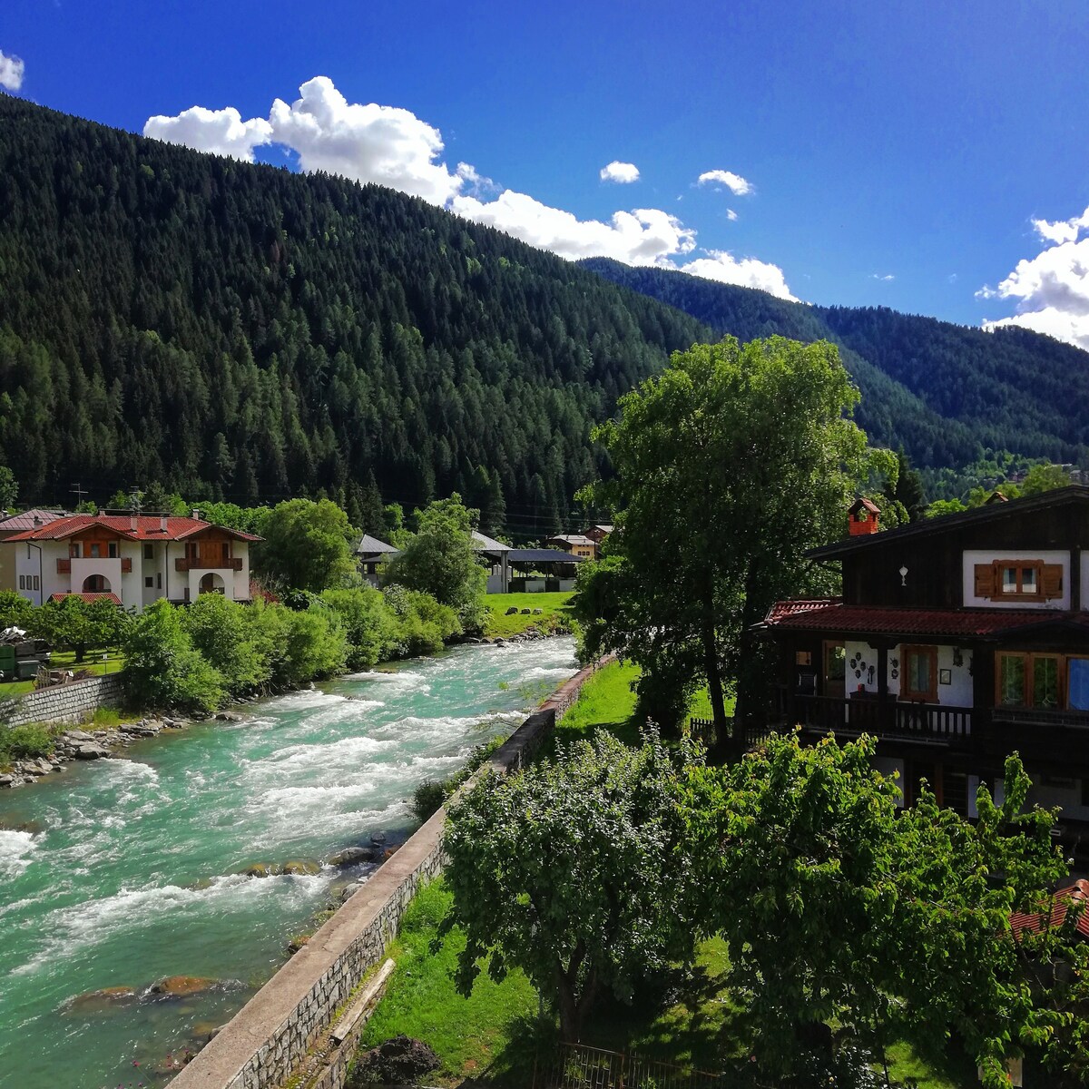 Pellizzano, Sweet Home in Val di Sole