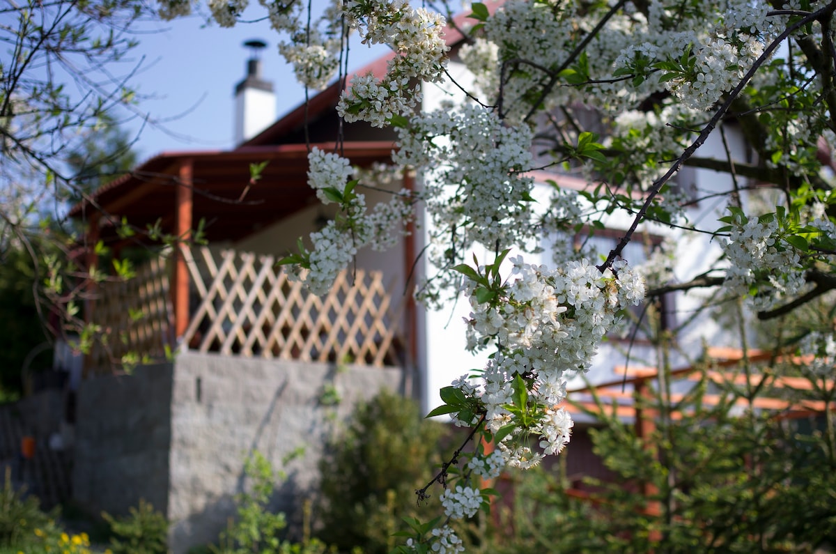 Summerhouse in nature yet in Prague